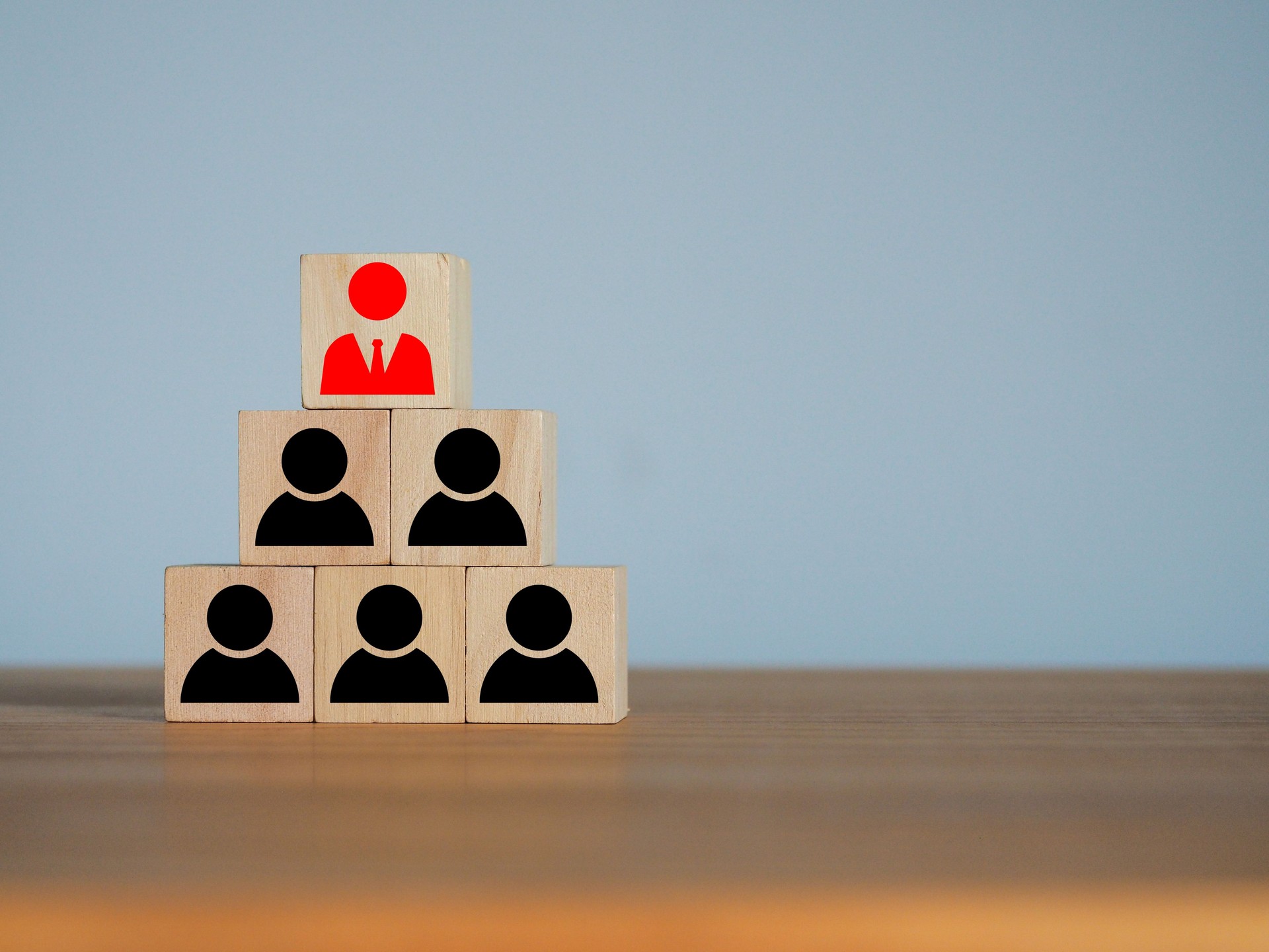 Organizational structure of team leaders and employees